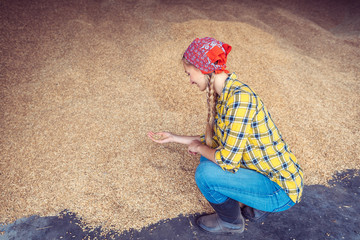 Farmer woman checking on the quality of spelt in the barn
