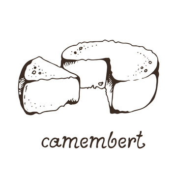 Cheese Camembert Hand Drawn Vector Illustration, Isolated On White Background With Hand Drawn Text