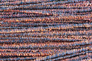 Fototapeta premium Dried clams on wooden sticks are sell on the street food market on the island of Zanzibar Island, Tanzania, Africa, close up