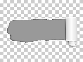 Elongated torn hole from left to right in transparent sheet of paper with soft shadow, paper curl and gray background in the hole. Vector illustration.