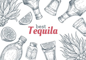 Tequila label. Mexican alcohol drink drawing. Bottle, shot glass, salt shaker, lime, agave frame sketch. Engraved vector illustration