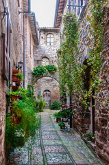 Fototapeta na wymiar Narrow street in the smal viallge of Spello, Italy