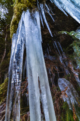 Beautifully shaped icicles on a mountain from a frozen waterfall
