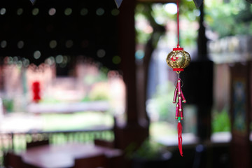 chinese lunar new year decoration