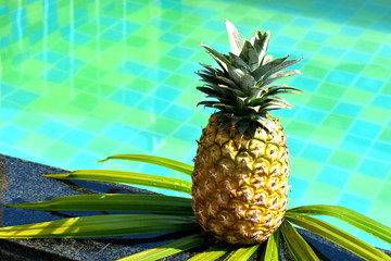 the pineapple on the Board of the autdoor pool. a tropical fruit for Breakfast