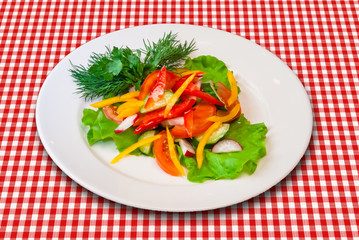 Fresh mixed vegetables salad on white plate. Appetizer