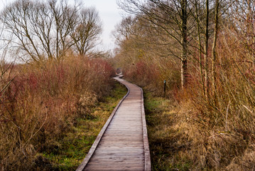 Wieże widokowe i kładki – Osowiec – Rzeka Biebrza - Podlasie - Polska © podlaski49