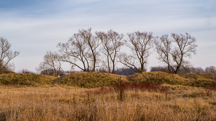 Wieże widokowe i kładki – Osowiec – Rzeka Biebrza - Podlasie - Polska