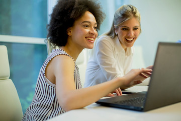 Multiracial businesswomen on meeting in office brainstorming, working on laptop