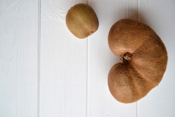 The ugly fruit, odd kiwi. Tasty and healthy. Vegetarian food. On a white background with copyspace.