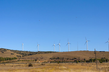 white windmills electricity in the field