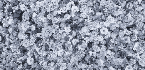 Wall of flowers in a flower shop