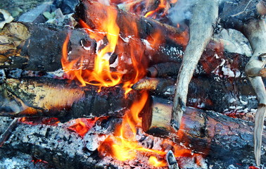 a fire of wood and twigs is burning
