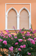 Fototapeta na wymiar mediterranean house facad with arched window and closed shutters, blooming tree