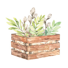 Spring bouquet with willow blossom, green leaves and branches in wooden rustic box. Watercolor botanical illustration. Perfect for invitations, greeting cards, posters, packing