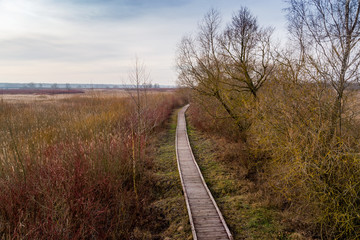 Wieże widokowe i kładki – Osowiec – Rzeka Biebrza - Podlasie - Polska © podlaski49