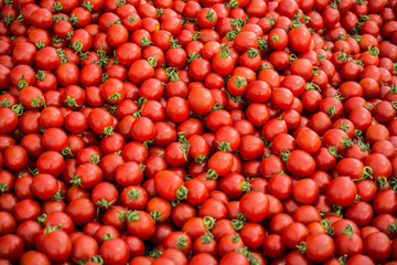 Red ripe tasty fresh delicious tomato vegetables in bazaar market