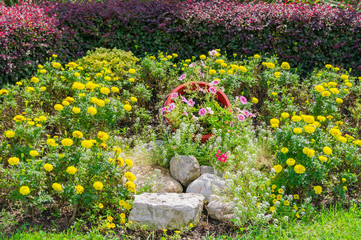 Beautiful flowerbed in a park in a sunny days. Many different flowers gathered together