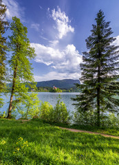 Lake Bled Slovenia. Beautiful mountain Bled lake with small Pilgrimage Church. Most famous Slovenian lake and island Bled with Pilgrimage Church of the Assumption of Maria. Bled, Slovenia. © daliu