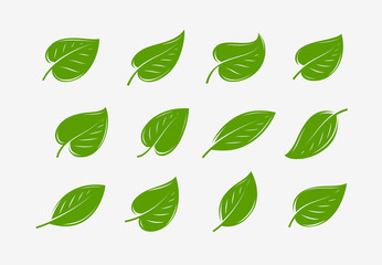 Green leaf icon set. Natural, organic logo or symbol vector