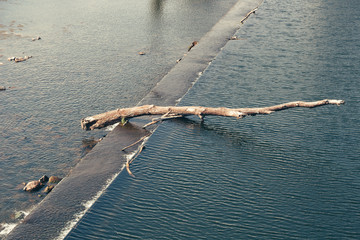 Work of art with a trunk on an arm of a river