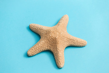 starfish on blue background