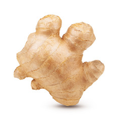 Creative concept of ginger root isolated on white background