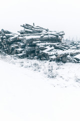 Stack of logs covered with snow. Vertical image