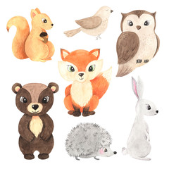 Cute cartoon watercolor forest animals set