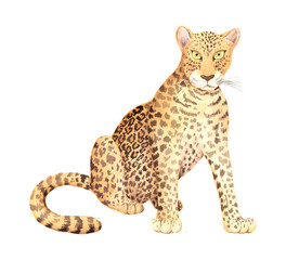 Fototapeta na wymiar Watercolor wild leopard animal