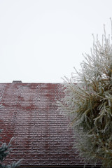 roof in the countryside covered with frost
