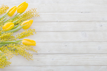 tulips and mimosa on white wooden background