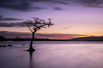 Sunset at Milarrochy Bay, Loch Lomond, Scotland