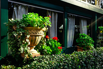 Hermosa maceta con flores al rededor en medio de un paisaje verde en primavera