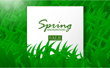 Fototapeta na wymiar Spring background concept with white frame on green grass, green leaves and green grass background. Design template for use cover poster, sale banner, summer event