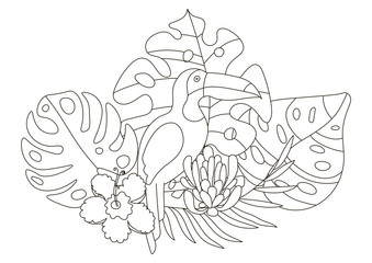 Hand drawing coloring pages for children and adults. A beautiful coloring book in a linear style for creative creativity. Antistress coloring book with toucan, tropical flowers, orchid, monstera, palm