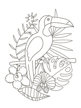 Hand drawing coloring pages for children and adults. A beautiful coloring book in a linear style for creative creativity. Antistress coloring book with toucan, tropical flowers, orchid, monstera, palm