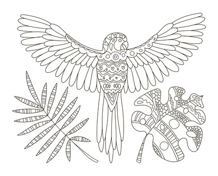 Hand drawing coloring pages for children and adults. A beautiful pattern with small details for creativity.Antistress coloring book with tropics.A parrot flies on a branch among the leaves of monstera