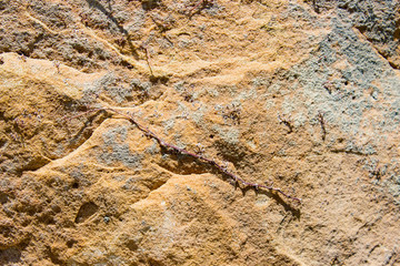 surface of old stone