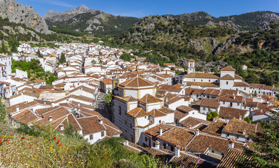 Fototapeta na wymiar Rooftops of the old village Grazalema in the national park, Spain