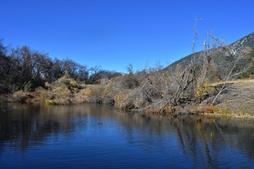 blue pond