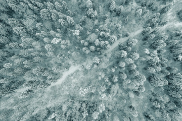 Road in snow covered forest. Drone aerial shot