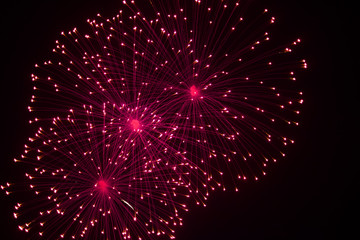 fireworks in the sky