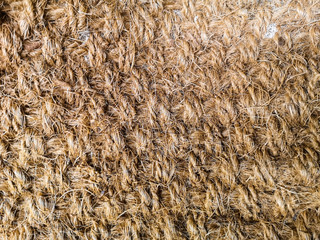 knitted braids of yellow wool with a golden hue similar to horse hair
