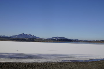 Blick über den Hopfensee in Richtung winterlicher Alpen