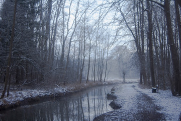 Sunrise on a creek in the woods