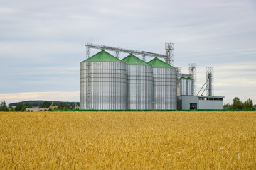 Group of grain dryers complex on the background of a yellow field of wheat or barley. © Dzmitry