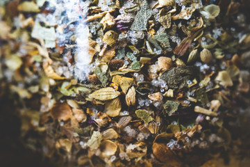 ミックスソルトのアップ