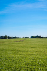 Fototapeta na wymiar green meadow under blue sky on a clear sunny day