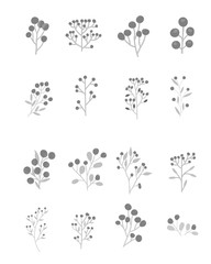 set of vector floral elements